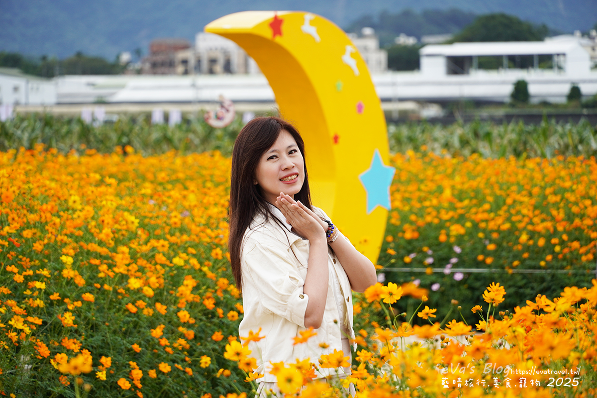 【台中景點】2025臺中國際花毯節|花城任務 × 飛天小女警(展期11/08–11/30,寵物友善)漸層花海打造繽紛色彩世界。台中親子旅遊 - 第130張圖 我在黃色波斯菊花海區拍照,身後可見黃色月亮裝置