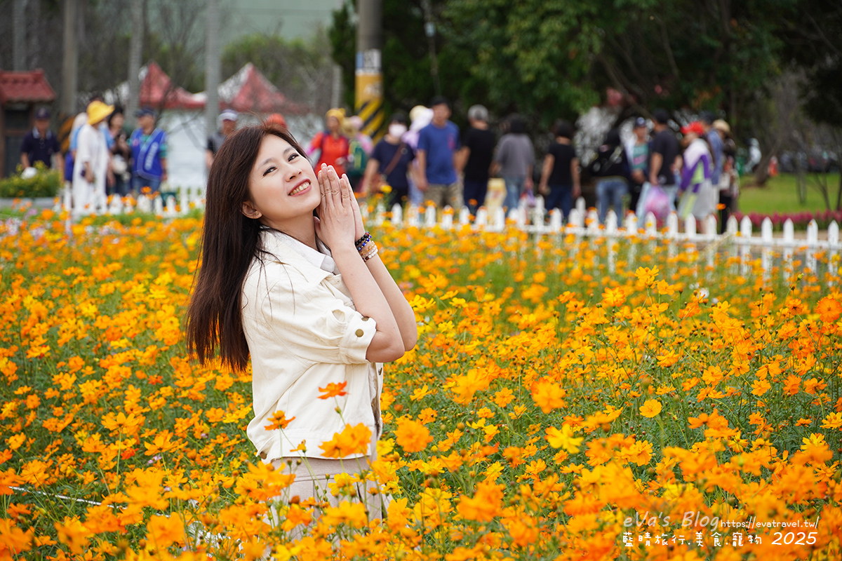 【台中景點】2025臺中國際花毯節|花城任務 × 飛天小女警(展期11/08–11/30,寵物友善)漸層花海打造繽紛色彩世界。台中親子旅遊 - 第129張圖 我在黃色波斯菊花海區裡拍照3