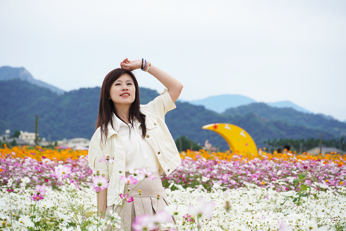【台中景點】2025臺中國際花毯節|花城任務 × 飛天小女警(展期11/08–11/30,寵物友善)漸層花海打造繽紛色彩世界。台中親子旅遊 - 第119張圖 我在白色、粉色與黃色波斯菊花海區拍照,背後有黃色月亮造景