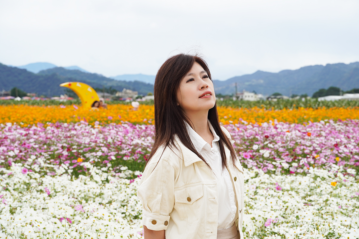 【台中景點】2025臺中國際花毯節|花城任務 × 飛天小女警(展期11/08–11/30,寵物友善)漸層花海打造繽紛色彩世界。台中親子旅遊 - 第133張圖 我在白色、粉色與黃色波斯菊花海區裡拍照