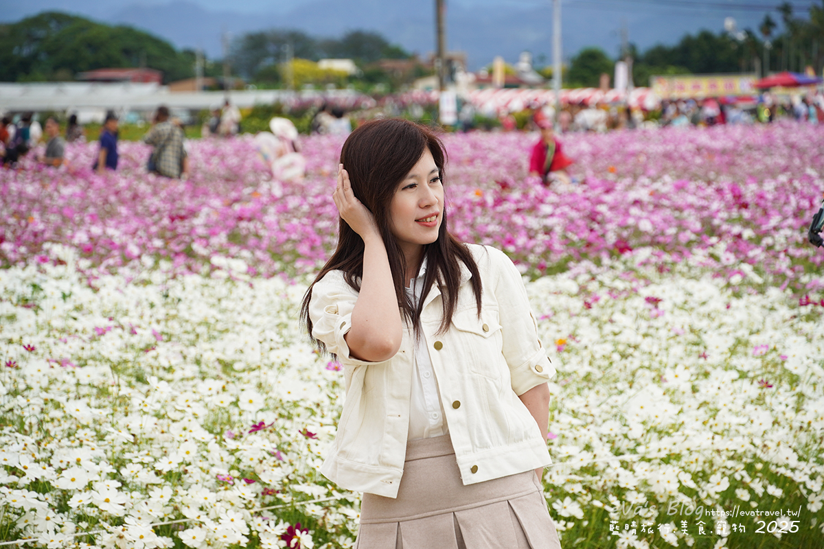 【台中景點】2025臺中國際花毯節|花城任務 × 飛天小女警(展期11/08–11/30,寵物友善)漸層花海打造繽紛色彩世界。台中親子旅遊 - 第139張圖 我在白色與粉色波斯菊花海區裡拍照3
