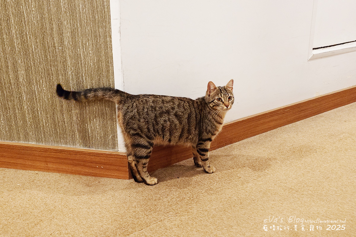 【土耳其蜜月旅遊】Richmond Pamukkale Thermal Resort 里士滿棉花堡度假飯店|典雅房型與自助餐體驗。土耳其住宿 - 第7張圖 【土耳其蜜月旅遊】Richmond Pamukkale Thermal Resort 里士滿棉花堡度假飯店|典雅房型與自助餐體驗。土耳其住宿