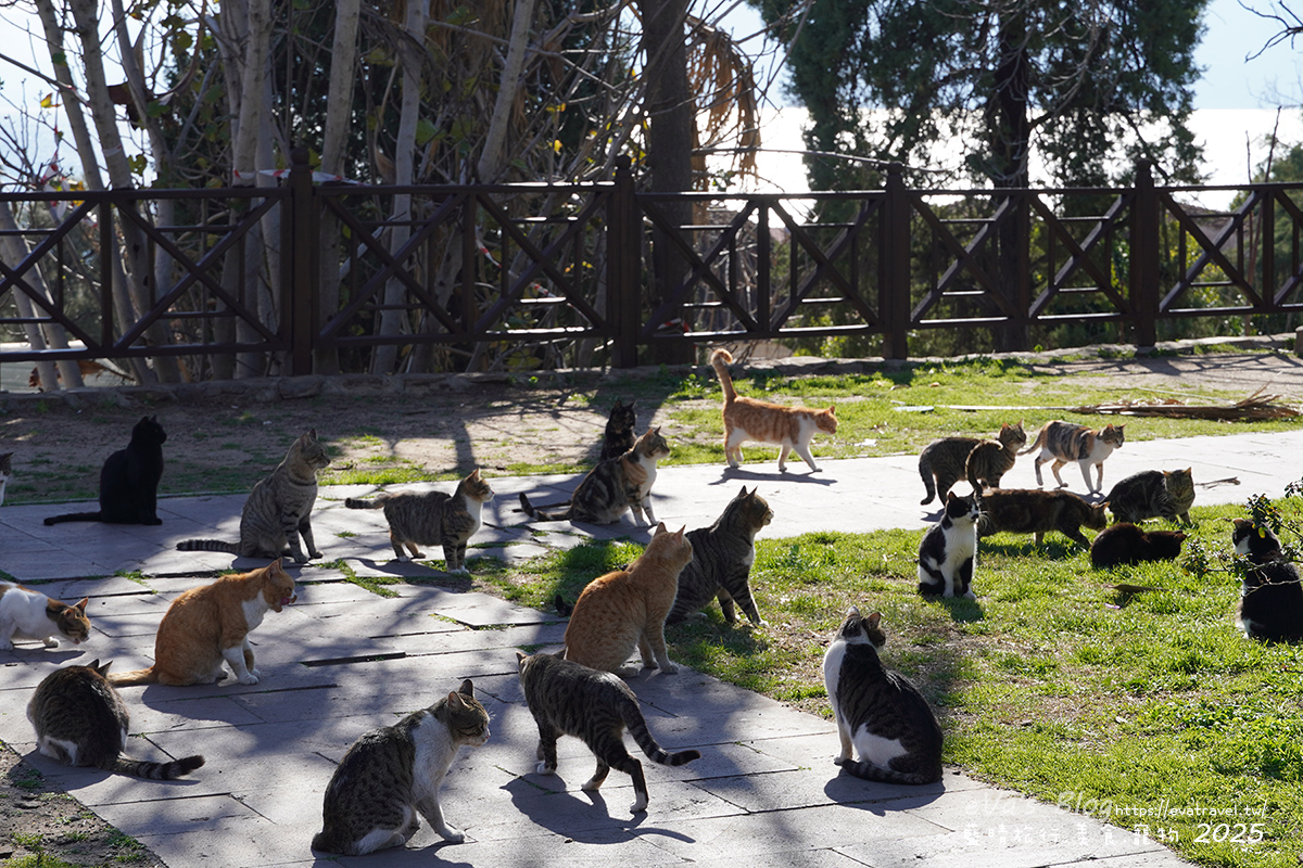 【土耳其蜜月旅遊】Antalya 安塔利亞|羅馬海港、卡雷奇歷史街區(老城區)、哈德良門與鐘樓,從古代延續至今的重要港口城市。土耳其景點 - 第79張圖 【土耳其蜜月旅遊】Antalya 安塔利亞|羅馬海港、卡雷奇歷史街區(老城區)、哈德良門與鐘樓,從古代延續至今的重要港口城市。土耳其景點