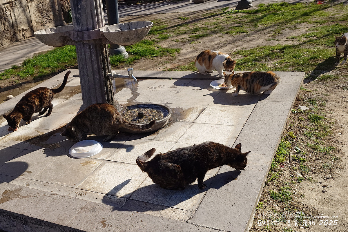 【土耳其蜜月旅遊】Antalya 安塔利亞|羅馬海港、卡雷奇歷史街區(老城區)、哈德良門與鐘樓,從古代延續至今的重要港口城市。土耳其景點 - 第80張圖 【土耳其蜜月旅遊】Antalya 安塔利亞|羅馬海港、卡雷奇歷史街區(老城區)、哈德良門與鐘樓,從古代延續至今的重要港口城市。土耳其景點