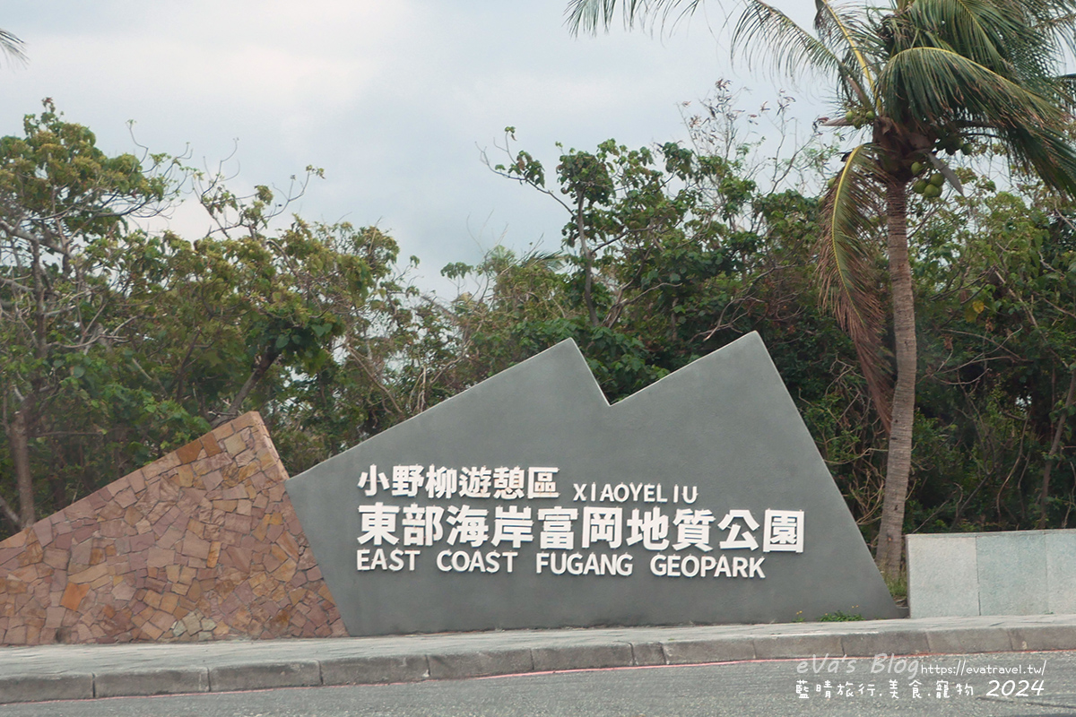 【台東景點】富岡地質公園(小野柳)|海蝕地形與奇岩景觀,一望無際太平洋海景的免費景點。台東寵物友善景點 - 第2張圖 【台東景點】富岡地質公園(小野柳)|海蝕地形與奇岩景觀,一望無際太平洋海景的免費景點。台東寵物友善景點
