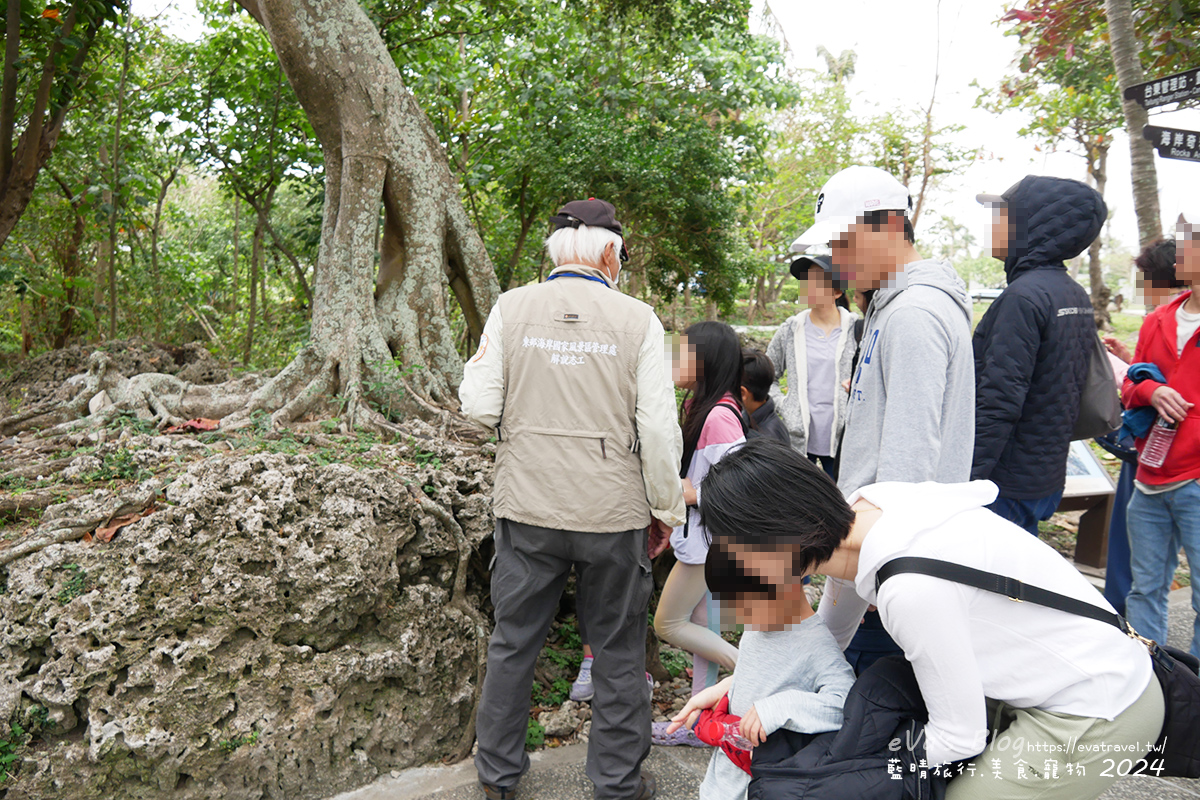 【台東景點】富岡地質公園(小野柳)|海蝕地形與奇岩景觀,一望無際太平洋海景的免費景點。台東寵物友善景點 - 第5張圖 【台東景點】富岡地質公園(小野柳)|海蝕地形與奇岩景觀,一望無際太平洋海景的免費景點。台東寵物友善景點