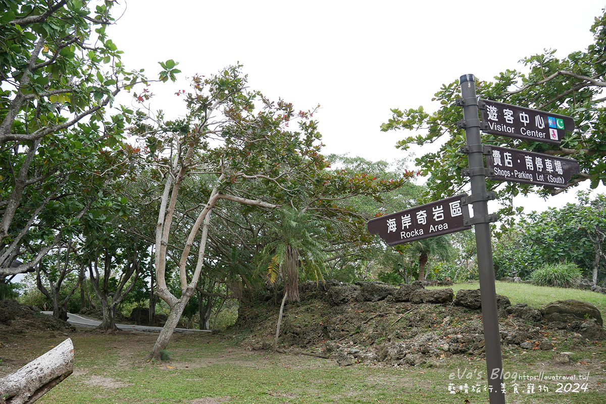 【台東景點】富岡地質公園(小野柳)|海蝕地形與奇岩景觀,一望無際太平洋海景的免費景點。台東寵物友善景點 - 第11張圖 【台東景點】富岡地質公園(小野柳)|海蝕地形與奇岩景觀,一望無際太平洋海景的免費景點。台東寵物友善景點