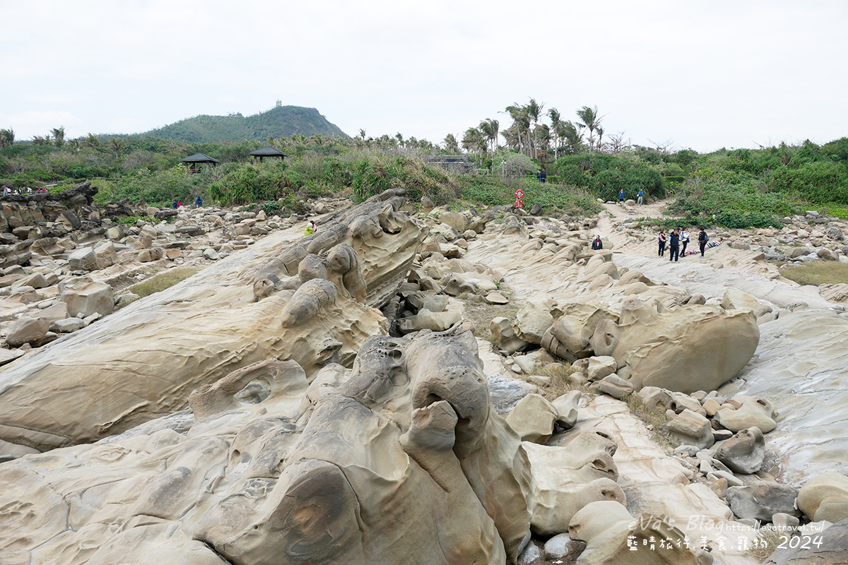 【台東景點】富岡地質公園(小野柳)|海蝕地形與奇岩景觀,一望無際太平洋海景的免費景點。台東寵物友善景點 - 第18張圖 【台東景點】富岡地質公園(小野柳)|海蝕地形與奇岩景觀,一望無際太平洋海景的免費景點。台東寵物友善景點