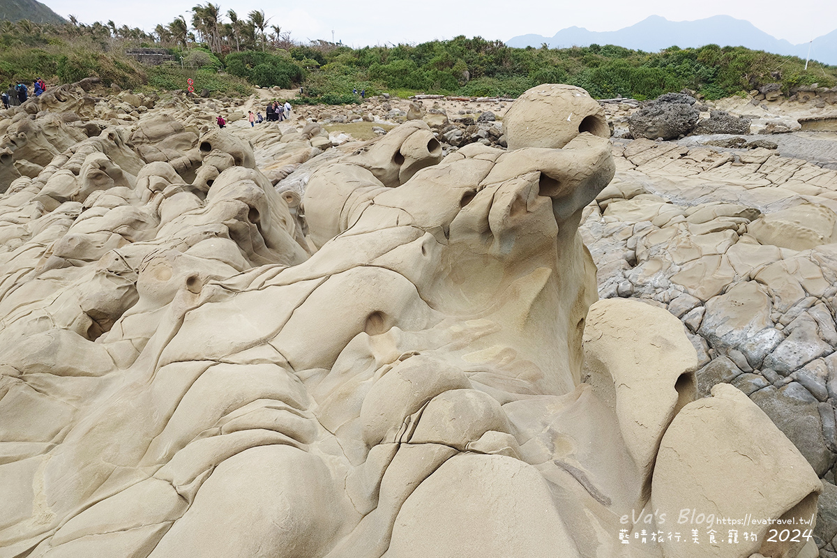 【台東景點】富岡地質公園(小野柳)|海蝕地形與奇岩景觀,一望無際太平洋海景的免費景點。台東寵物友善景點 - 第19張圖 【台東景點】富岡地質公園(小野柳)|海蝕地形與奇岩景觀,一望無際太平洋海景的免費景點。台東寵物友善景點