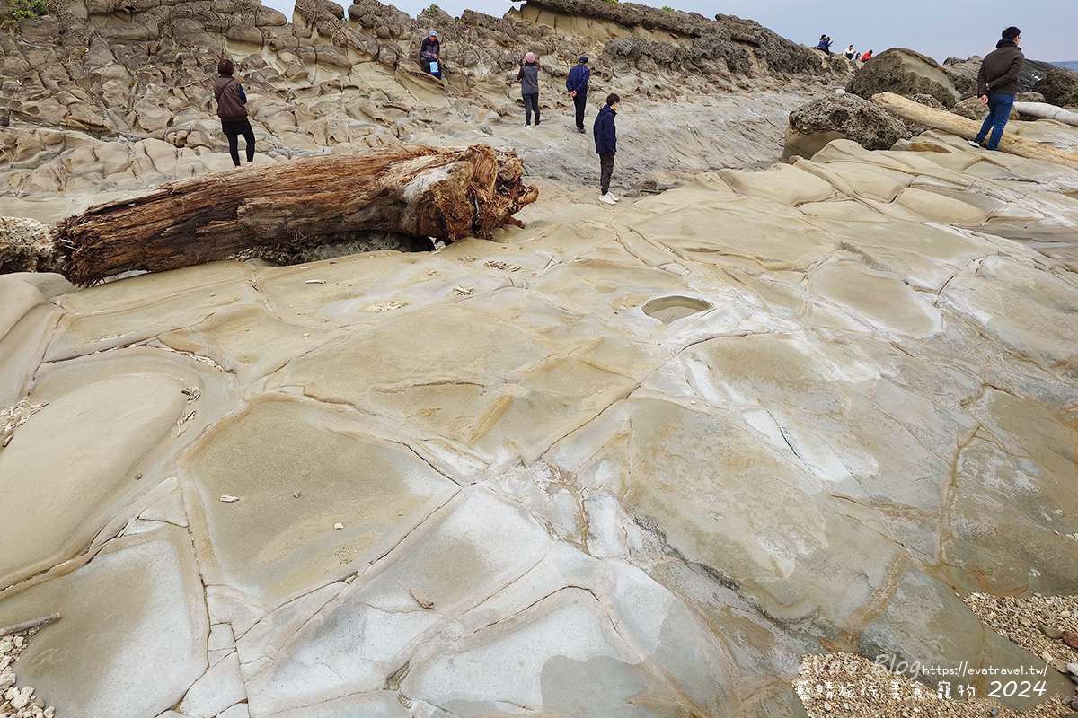 【台東景點】富岡地質公園(小野柳)|海蝕地形與奇岩景觀,一望無際太平洋海景的免費景點。台東寵物友善景點 - 第22張圖 【台東景點】富岡地質公園(小野柳)|海蝕地形與奇岩景觀,一望無際太平洋海景的免費景點。台東寵物友善景點