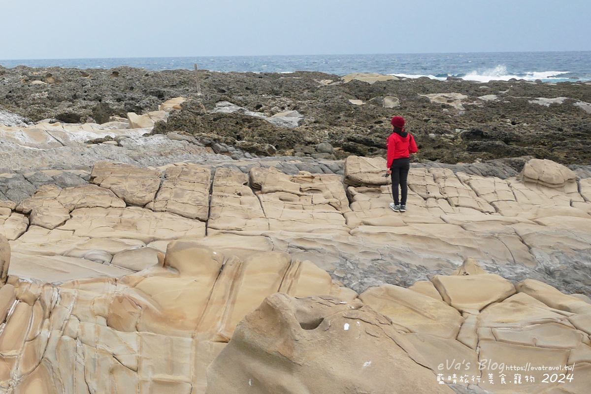 【台東景點】富岡地質公園(小野柳)|海蝕地形與奇岩景觀,一望無際太平洋海景的免費景點。台東寵物友善景點 - 第23張圖 【台東景點】富岡地質公園(小野柳)|海蝕地形與奇岩景觀,一望無際太平洋海景的免費景點。台東寵物友善景點
