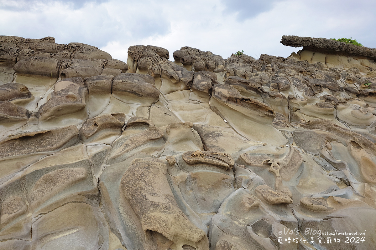 【台東景點】富岡地質公園(小野柳)|海蝕地形與奇岩景觀,一望無際太平洋海景的免費景點。台東寵物友善景點 - 第24張圖 【台東景點】富岡地質公園(小野柳)|海蝕地形與奇岩景觀,一望無際太平洋海景的免費景點。台東寵物友善景點