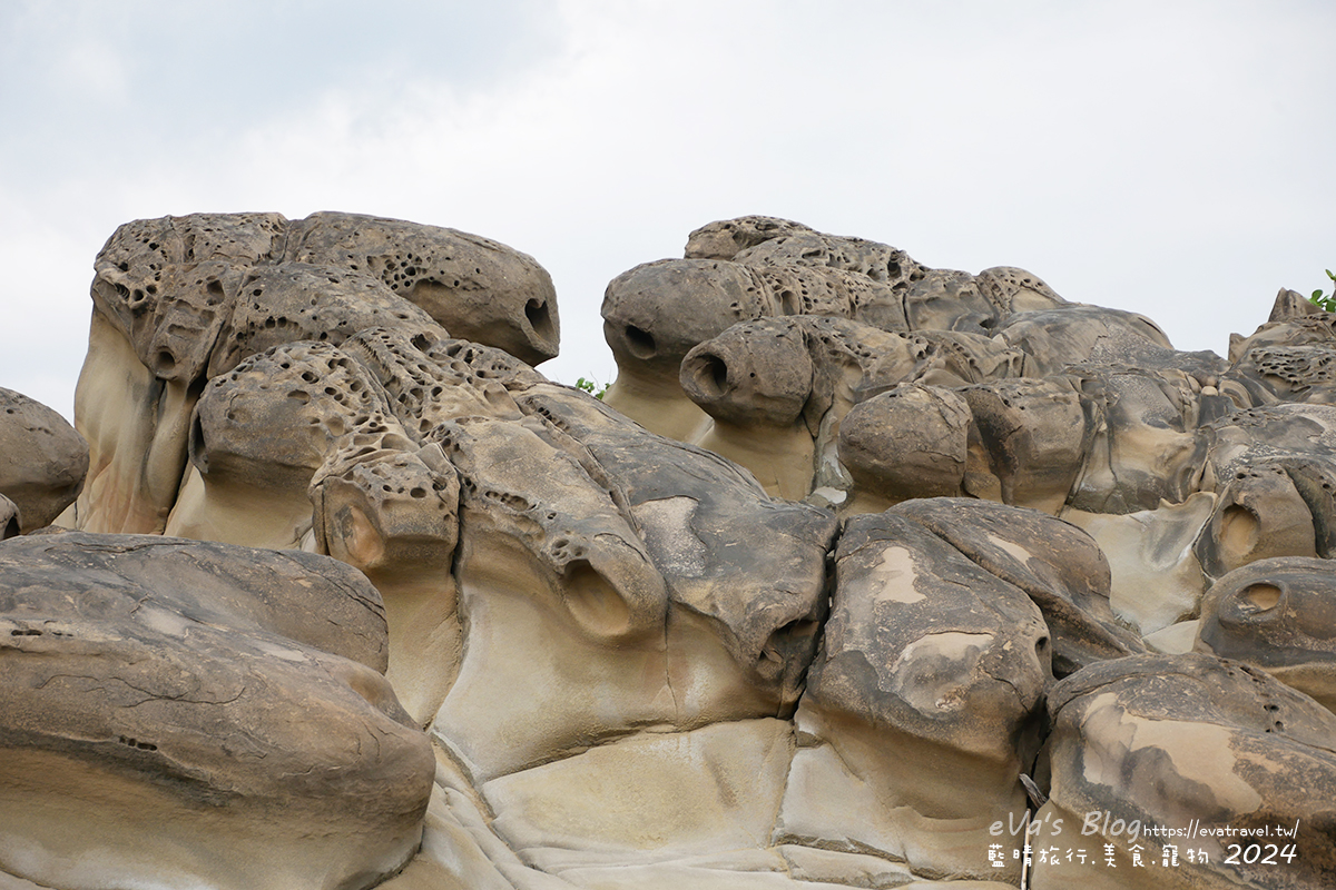 【台東景點】富岡地質公園(小野柳)|海蝕地形與奇岩景觀,一望無際太平洋海景的免費景點。台東寵物友善景點 - 第25張圖 【台東景點】富岡地質公園(小野柳)|海蝕地形與奇岩景觀,一望無際太平洋海景的免費景點。台東寵物友善景點