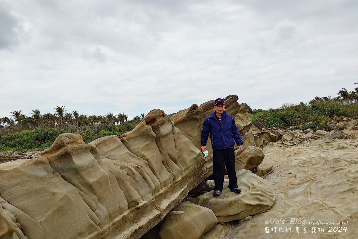 【台東景點】富岡地質公園(小野柳)|海蝕地形與奇岩景觀,一望無際太平洋海景的免費景點。台東寵物友善景點 - 第30張圖 【台東景點】富岡地質公園(小野柳)|海蝕地形與奇岩景觀,一望無際太平洋海景的免費景點。台東寵物友善景點