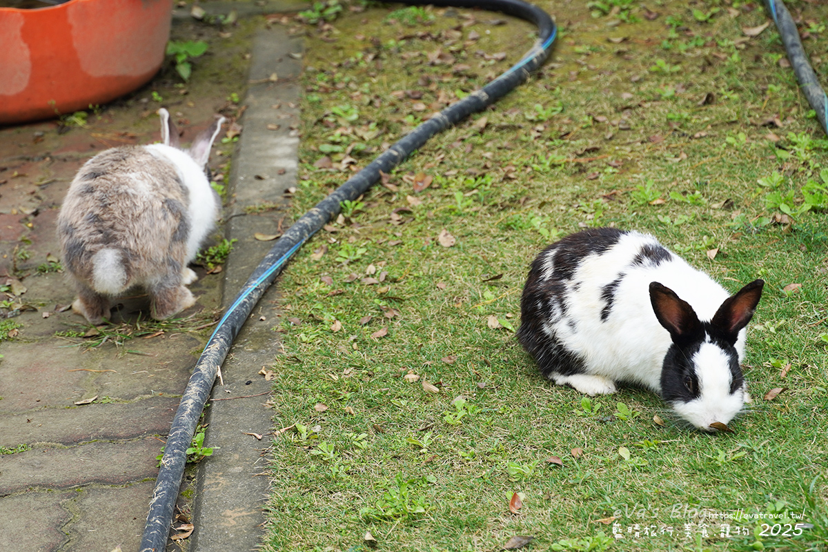 【高雄火鍋】水庫沒關庭院餐廳｜一週只營業2天的庭院系餐廳，烤雞、火鍋、羊肉爐與水管屋特色用餐空間。高雄寵物友善餐廳