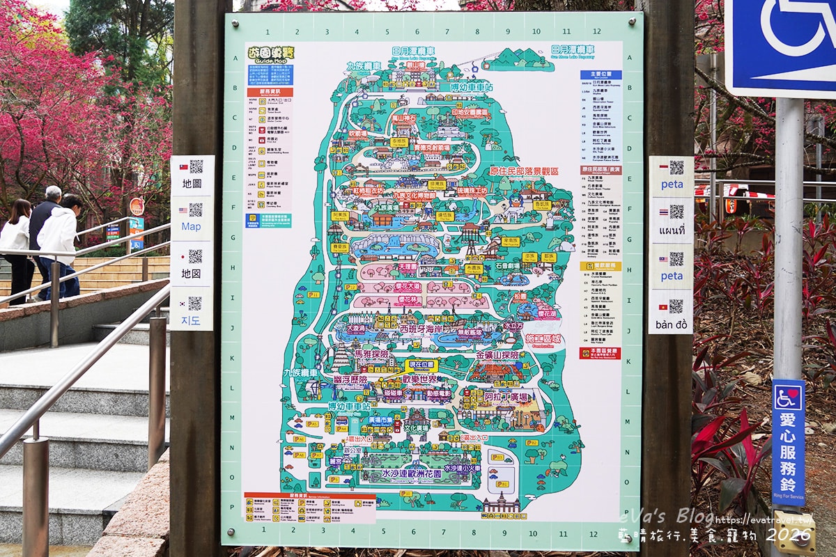 【南投賞櫻】2026九族文化村櫻花祭花況｜八重櫻、吉野櫻、富士櫻、九族百重櫻盛開＋九族纜車賞櫻（日月潭纜車看湖景）。南投景點