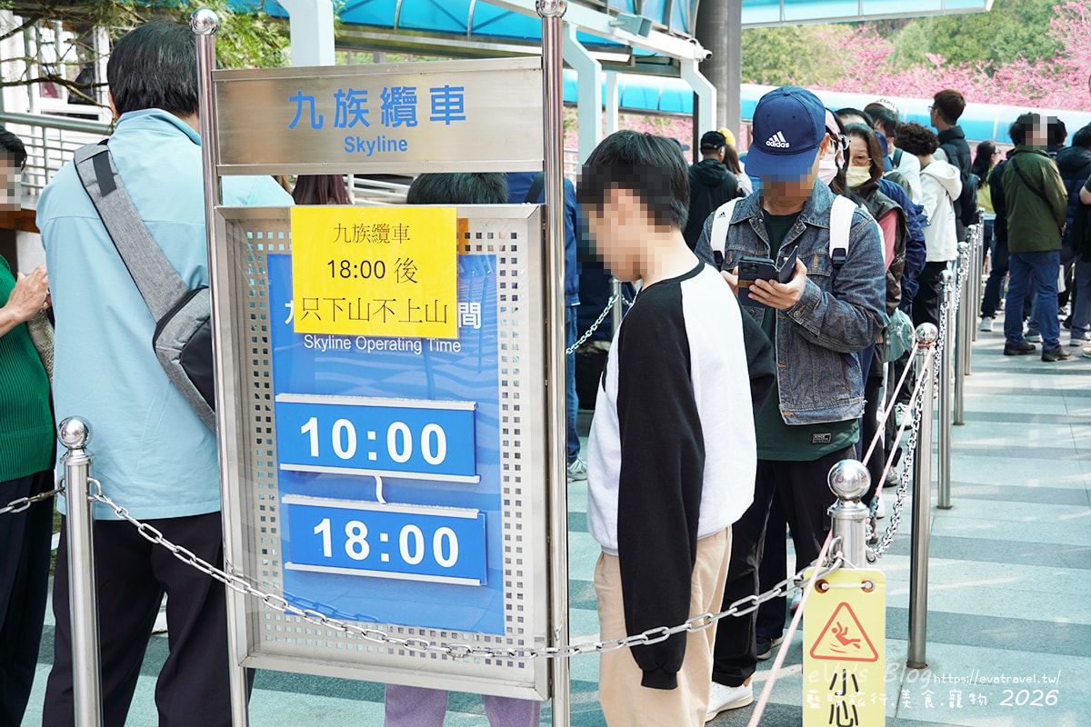 【南投賞櫻】2026九族文化村櫻花祭花況｜八重櫻、吉野櫻、富士櫻、九族百重櫻盛開＋九族纜車賞櫻（日月潭纜車看湖景）。南投景點