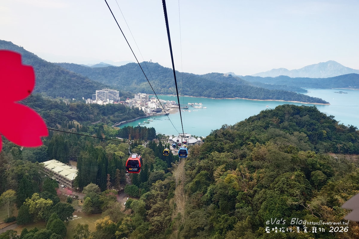 【南投賞櫻】2026九族文化村櫻花祭花況｜八重櫻、吉野櫻、富士櫻、九族百重櫻盛開＋九族纜車賞櫻（日月潭纜車看湖景）。南投景點