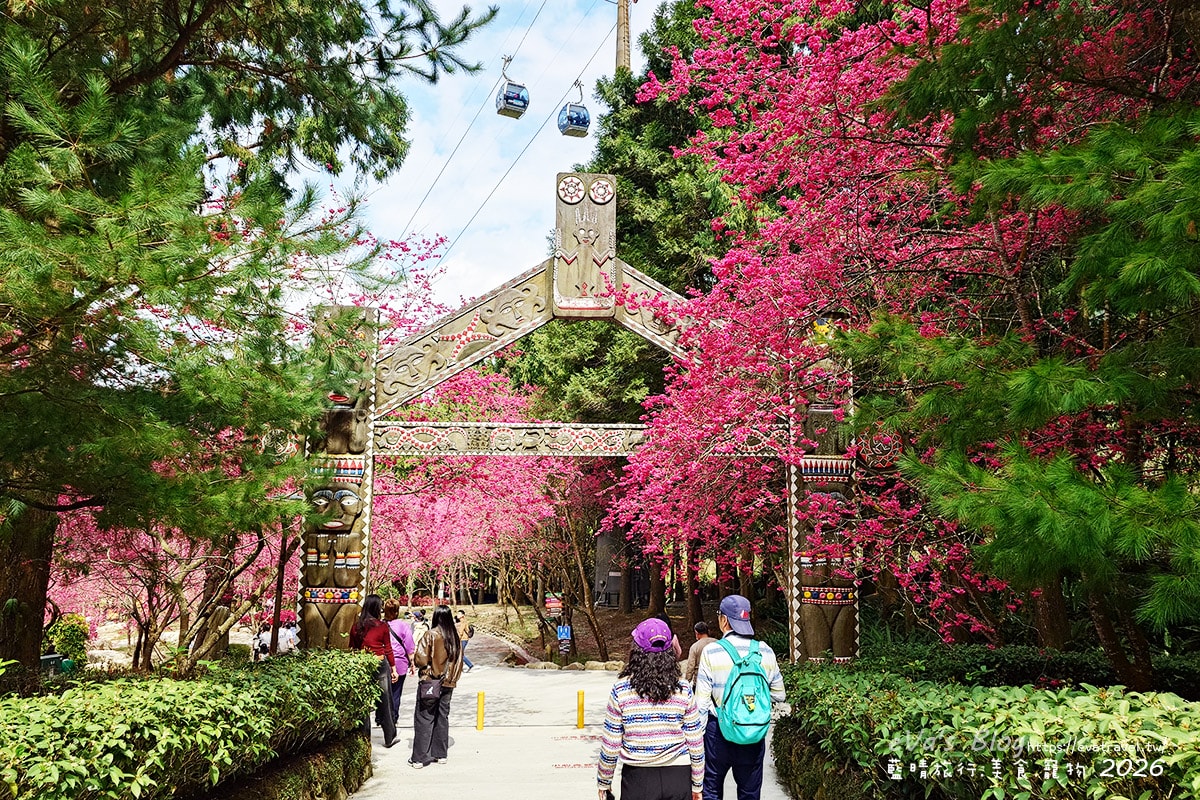 沿櫻花大道走到原住民雕刻牌樓，九族文化村賞櫻步道