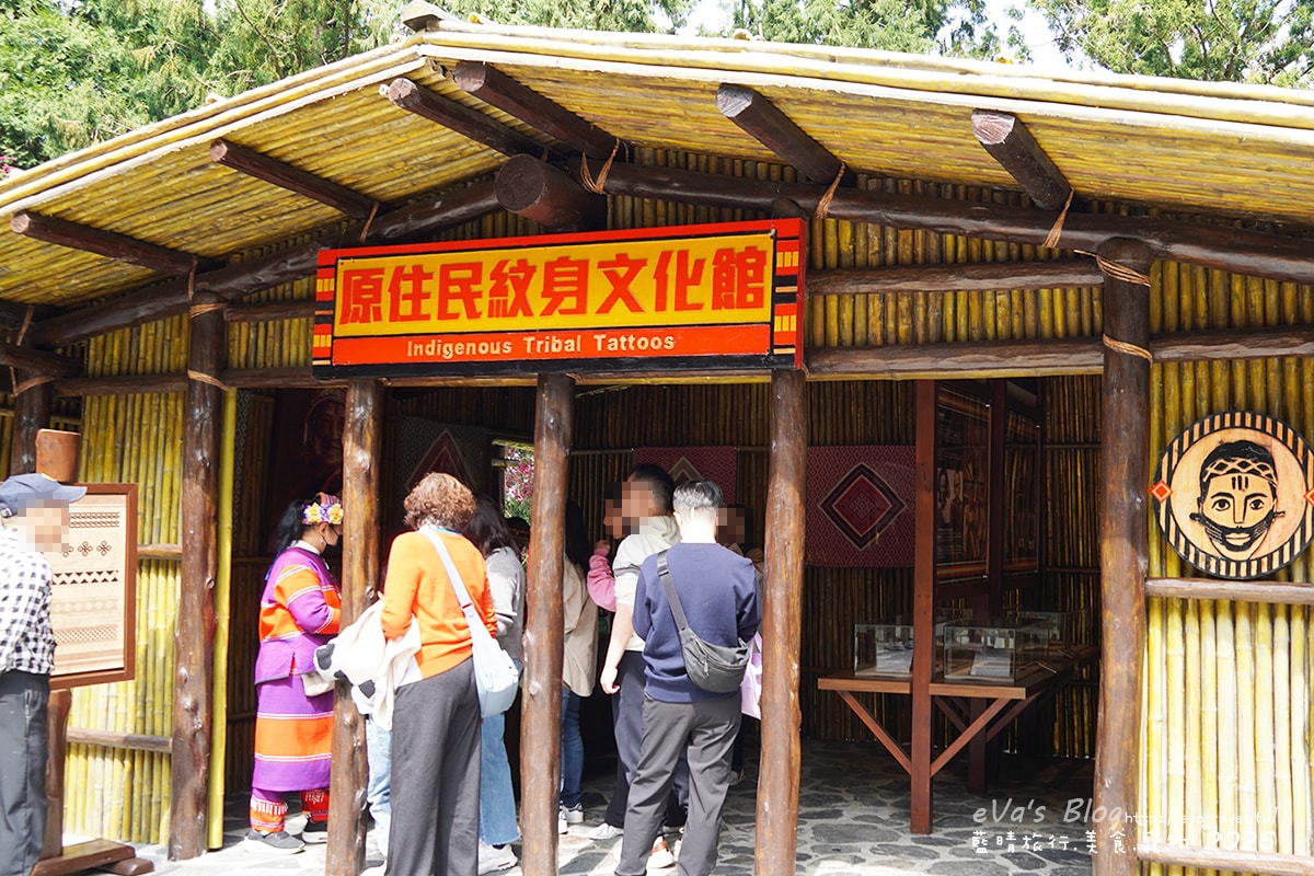 【南投賞櫻】2026九族文化村櫻花祭花況｜八重櫻、吉野櫻、富士櫻、九族百重櫻盛開＋九族纜車賞櫻（日月潭纜車看湖景）。南投景點