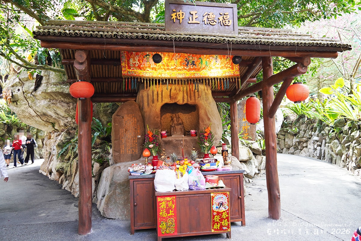 【南投賞櫻】2026九族文化村櫻花祭花況｜八重櫻、吉野櫻、富士櫻、九族百重櫻盛開＋九族纜車賞櫻（日月潭纜車看湖景）。南投景點