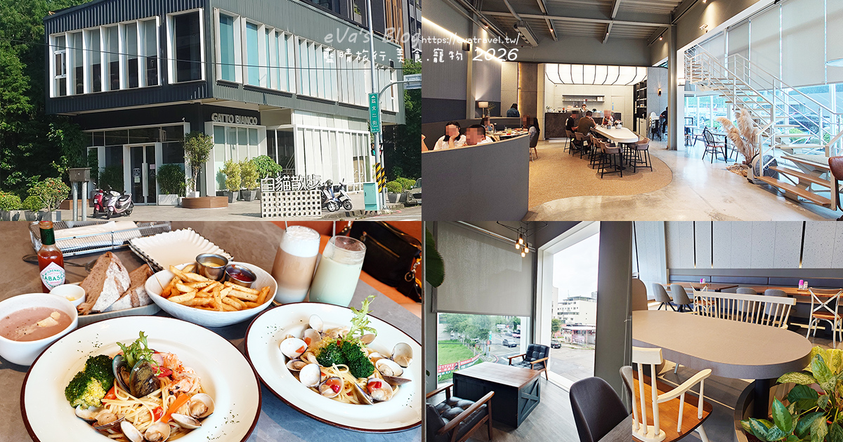 【台中餐廳】白貓散步 Gatto Bianco｜義大利麵、燉飯、早午餐與輕食一次滿足，享受療癒愜意的慢步調時光。台中寵物友善餐廳